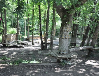  Natura game children's course